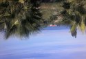 Land for sale 100m from the sea 