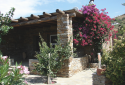 St. Peter's Garden Land for Sale in Andros Island